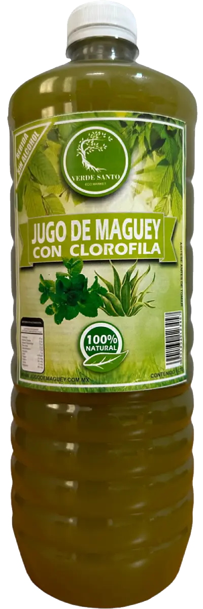 Revitaliza tu cuerpo con el jugo de maguey asado con clorofila, elaborado por Verde Santo Hidalgo.